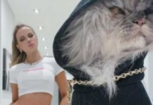 Kate Beckinsale sufre la muerte de su mascota: ‘Adiós, Clive’