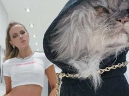 Kate Beckinsale sufre la muerte de su mascota: ‘Adiós, Clive’