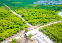 Reynosa terminara el año con importantes obras de beneficio para los ciudadanos