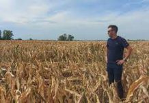 Campo se seca; urge distribución de agua que afecta a Distritos de riego en la frontera