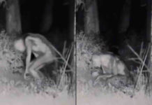 Difunden imágenes de extraterrestres captados por cámara de seguridad en Las Vegas