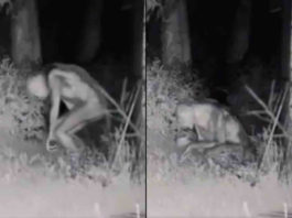 Difunden imágenes de extraterrestres captados por cámara de seguridad en Las Vegas