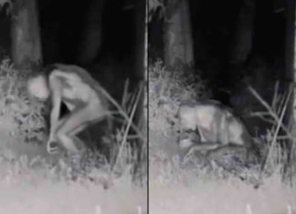 Difunden imágenes de extraterrestres captados por cámara de seguridad en Las Vegas