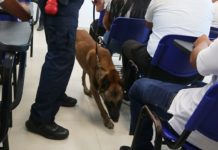 Binomios caninos realizan inspecciones en centros educativos