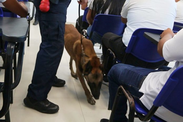 f42a3330-dcd7-4513-897f-cc8002c43cd2