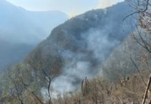 Continúa combate de incendios forestales