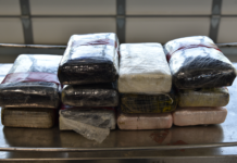 Decomisa CBP más de un millón dd en droga en puentes internacionales