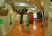 Disfruta las maravillas naturales en el Parque Ecológico Biósfera El Cielo