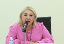 Llegan a Tamaulipas 710 MDP para pavimentación: Adriana Lozano