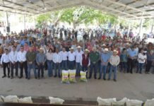 Favorece gobierno estatal a productores citrícolas con fertilizante granulado
