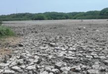 Se secan lagunas en Altamira