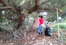 Realizan operativo de limpieza a la orilla del bordo de protección de la Morelos