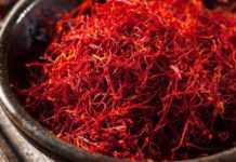 Los 6 mejores alimentos para el cerebro según una experta de la Universidad de Harvard