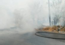 Bomberos acuden a sofocar incendios en zacatales que dejaron daños