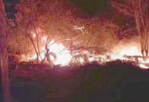 Bomberos atienden incendios en pastizales y predios baldíos