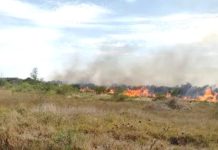 Bomberos intensifican acciones para sofocar incendios en pastizales