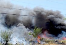 Bomberos sofocan incendio de pastizal en predio baldío