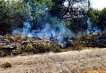 Bomberos sofocan incendio en predio baldío dejando daños