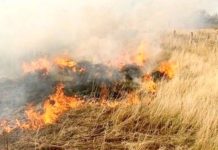 Bomberos sofocan incendios en predios baldíos y pastizales