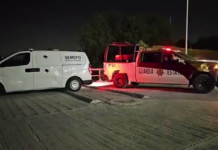 Colectivos hallan presuntos restos óseos en apartada colonia popular
