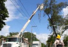 Exhortan a los ciudadanos a mantener despejadas áreas de cableado de CFE