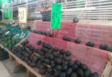 Aumenta hasta 30 % precio de frutas y verduras