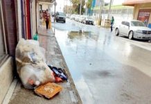Grupos ambientalistas exhortan a cuidar el medio ambiente
