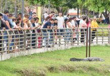 Tampico un Destino que Brinda Certidumbre a la Inversión: Chucho Nader