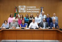 Integra Rosa González Comisión para Elaborar Plataforma Electoral del PAN 2024