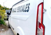 Indagan muerte de persona en concurrida colonia popular