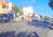Mata unidad del transporte público a peatón cuando le solicitó el servicio