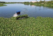 Presentan programa de protección al medio ambiente