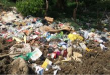 Abundan los ecólocos ciudadanos