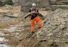 Realizan un hallazgo de 450.000 años de antigüedad en el Reino Unido