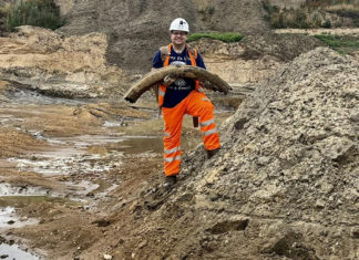 Realizan un hallazgo de 450.000 años de antigüedad en el Reino Unido