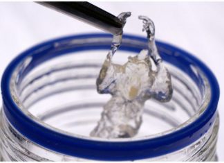 Los ratones transparentes que podrían mejorar los medicamentos contra el cáncer