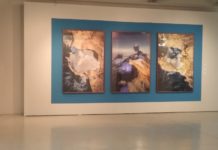 Invitan a la exposición fotográfica de Santiago Arau, en el Metro Tampico