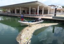 Limpian Canal de la Cortadura, retiran los peces muertos