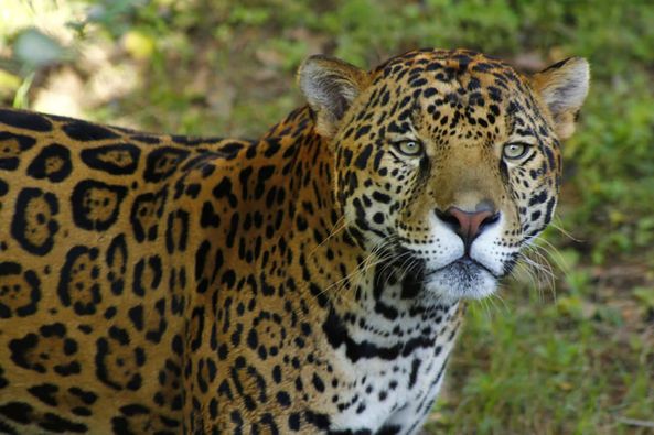 366740246_682263697275982_3767556546422776748_n