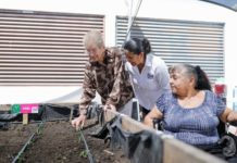 Rehabilita DIF Tamaulipas huerto comunitario en Casa Hogar del Adulto Mayor
