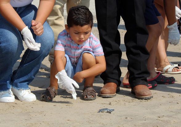 369841887_687647873404231_8466491745670417645_n