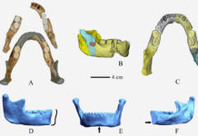Descubren en China los restos de lo que podría ser una tercera especie de humano antiguo