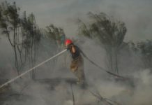 Incendios intencionales dañan la salud y medio ambiente, se imponen severas multas