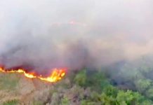 Bomberos acuden ha llamado ciudadano de incendios