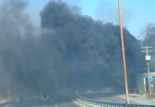 Bomberos combate voraz incendio de pastizal en concurrido sector popular