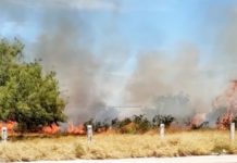 Bomberos sofocan incendio en pastizal dejando daños y contaminación