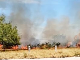 Bomberos sofocan incendio en pastizal dejando daños y contaminación