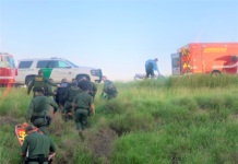 Es Laredo corredor para el tráfico de personas: HSI.