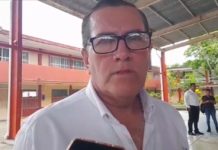 Pide PC alertar por la presencia de árboles peligrosos