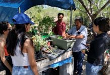 Reforestación, ideal para reducir cambio climático: Carlos Peña Ortiz